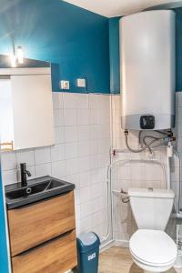 ein kleines Bad mit WC und Waschbecken in der Unterkunft Studio à Audenge in Audenge