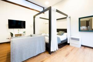 a bedroom with a bed and a tv and a mirror at Loft 2 by Basquelidays in Hondarribia +6 photos