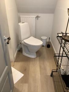 a bathroom with a white toilet in a room at Apothekergaarden Stege B&B in Stege