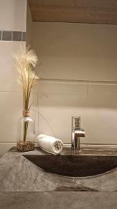 een wastafel in de badkamer met een vaas en een rol toiletpapier bij LA GRANGE SAVOYARDE-Spa-Piscine-Proche lac-Charme-Détente- 3 Etoiles in Lathuile