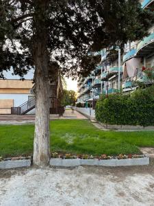 a tree in the middle of a park with flowers at Dika Sofia Residence in Mangalia