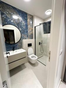 a bathroom with a toilet and a sink and a mirror at Luxury Apartment Amber - with jacuzzi in Kožino