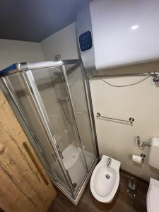 La salle de bains est pourvue d'une douche et de toilettes. dans l'établissement Ski Paradise, à Breuil-Cervinia