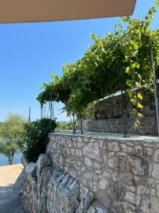Fotografie z fotogalerie ubytování Lake Skadar Paradise v destinaci Podgorica