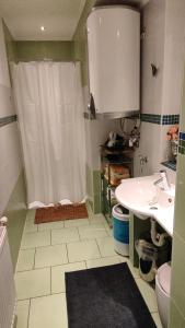 a bathroom with a shower and a sink and a toilet at Lalina in Liezen