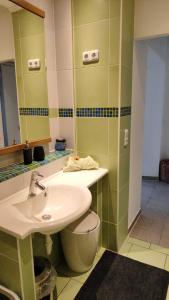La salle de bains est pourvue d'un lavabo, de toilettes et d'un miroir. dans l'établissement Lalina, à Liezen