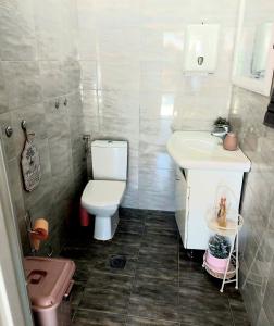 a small bathroom with a toilet and a sink at Kuća za odmor Kod Celića in Barbarići Kravarski