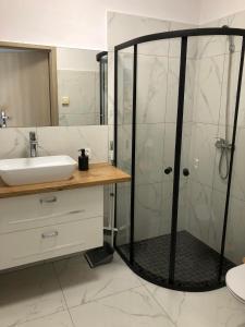a bathroom with a shower and a sink at Dom Gościnny Paweł&Kasia Kaczor in Pobierowo