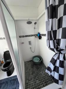 a small bathroom with a shower and a toilet at Le Manguier in Mahébourg