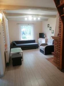 a living room with a couch and a table at Domek Pod Sosnami D in Krasnobród