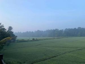 a large green field with trees in the background at Honey Dew Villa 