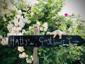 Zahrada ubytování Hatty's Guesthouse