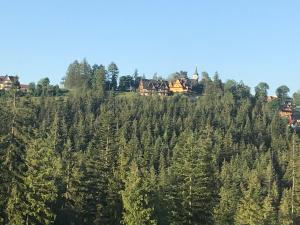 een stel huizen bovenop een heuvel met bomen bij Pokój 2 osobowy z aneksem kuchennym in Zakopane