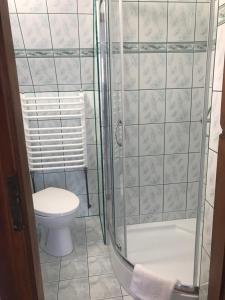 een badkamer met een toilet en een glazen douche bij Pokój 2 osobowy z aneksem kuchennym in Zakopane