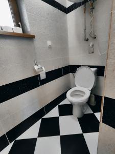 a bathroom with a toilet and black and white checkered floor at Chatka Gatterhof in Hodruša