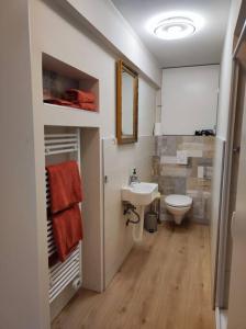 uma casa de banho com um lavatório e um WC em Ferienappartement 2 beim Strandbad em Reifnitz