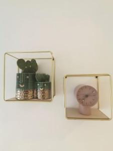 a glass box with a clock and a cactus at Studio COSY avec terrasse St Barthélémy in Saint-Barthélemy-dʼAnjou