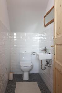 a bathroom with a toilet and a sink at Hiška pod Klumpo in Ormoz