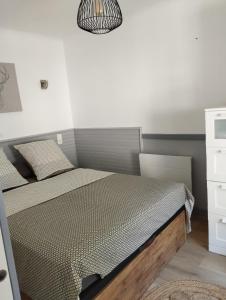 a bedroom with a bed and a pendant light at appartement cosy hyper centre de Cauterets in Cauterets