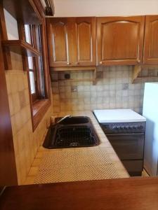 a kitchen with wooden cabinets and a stove top oven at Sounio , Garden house in Sounio