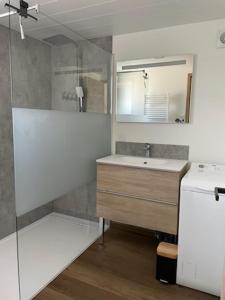 ein Bad mit einem Waschbecken und einem Spiegel in der Unterkunft Gîte la Chevêche in Treize-Vents