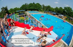 un grupo de personas en una piscina en un parque acuático en Unieke Twentse boerderij - 4 bedrooms & huge private garden, en Den Ham