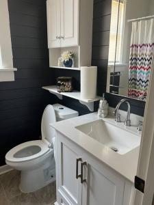 een badkamer met een wit toilet en een wastafel bij Midtown Memphis home with fire pit in Memphis