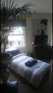 a bedroom with a large bed and a potted plant at Spring Gardens Retreat And Spa Private hottub,Sauna,Massage in Great Malvern