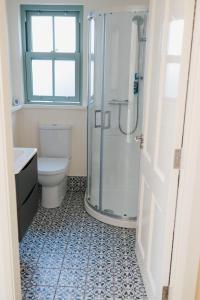 a bathroom with a shower and a toilet and a sink at Tranquil Rustic Cottage in Dromore