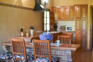 Кухня или мини-кухня в Apartamentos Rurales El Cuetu
