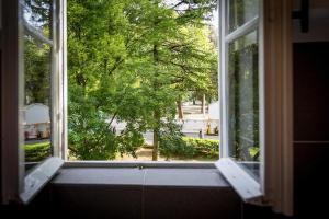 an open window with a view of a tree at North wall apartment in Split