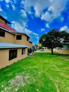 a green yard next to a building with a tree at Refugio Encantador in Santo Domingo