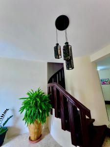 Fotografie z fotogalerie ubytování Refugio Encantador v destinaci Santo Domingo