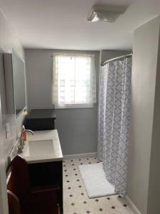 a small bathroom with a sink and a shower at Sunny One Bedroom in Historic Downtown Dover in Dover