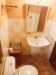 a bathroom with a white toilet and a sink at Casa rural de la Abuela in Cadreita