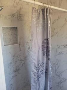 y baño con ducha y cortina de ducha. en R&R in Saguaro Natl Park, en Avra