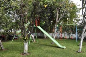 un toboggan vert dans un arbre dans une cour dans l'établissement La Manzana de Raquel, à Oaxtepec