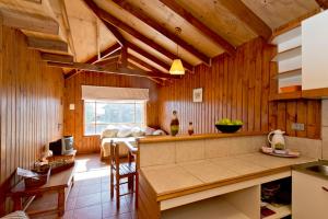 a kitchen and living room with wood paneling and a bed at Cabañas Orion in Concón
