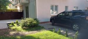 Ogród w obiekcie Apartament z prywatnym parkingiem