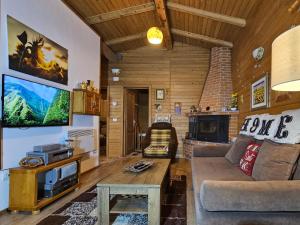 ein Wohnzimmer mit einem Sofa und einem TV in der Unterkunft WHITE HOUSE, Vidraru in Căpăţîneni-Pămînteni
