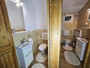 Baño pequeño con 2 aseos y lavamanos en WHITE HOUSE, Vidraru, en Căpăţîneni-Pămînteni