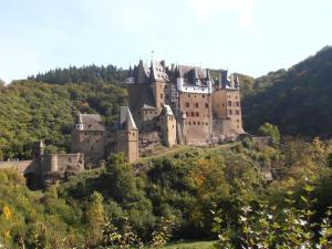 a castle on top of a hill with trees at Fewo Auszeit 1 in Harschbach