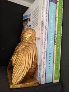 a statue sitting next to some books on a shelf at Self-Catering Suite in rural guest house 10 min to Islay Ferry Terminal in Ronachan