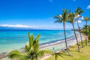 una playa con palmeras y el océano en Paki Maui 302A, en Honokowai