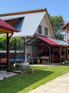 Vườn quanh Pensiunea Casa Ana
