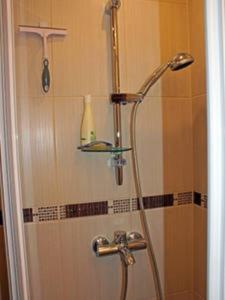 a shower with a shower head in a bathroom at Cosy Apartment near Faaker See in Latschach