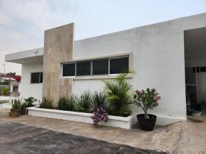 uma casa branca com plantas à frente em Pergola´s Road House em Yalsí