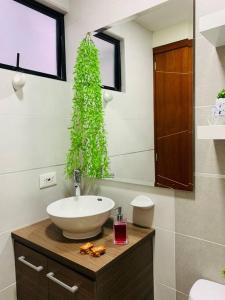 a bathroom with a sink and a green plant at Apartaestudio Refugio Bambú Club House in Pasto