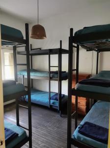 Zimmer mit 4 Etagenbetten und einer Lampe in der Unterkunft El Bicho Negro Hostel in Concordia