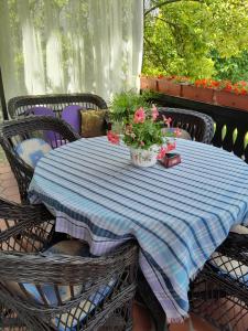 Fotografie z fotogalerie ubytování VILA SREM v destinaci Ruma